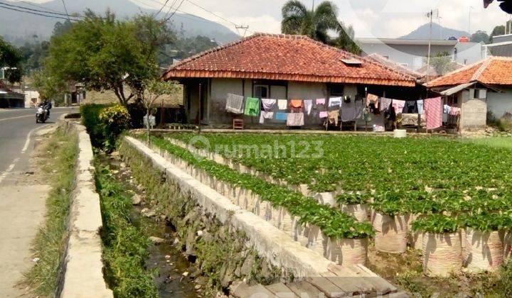 Tanah di Jl Raya Ciwidey, Bandung, Kawasan Sejuk 1