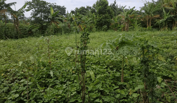 Dijual Cepat Kavling Indraprasta, Bogor 2