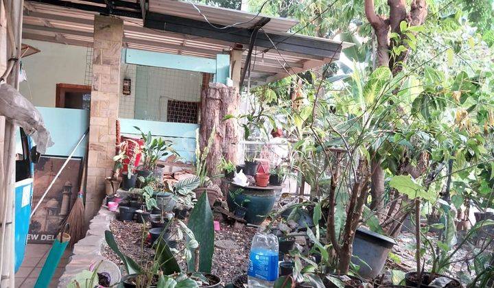 Rumah Bagus di Jl. Sungai Sambas, Kebayoran Baru Jakarta Selatan 2