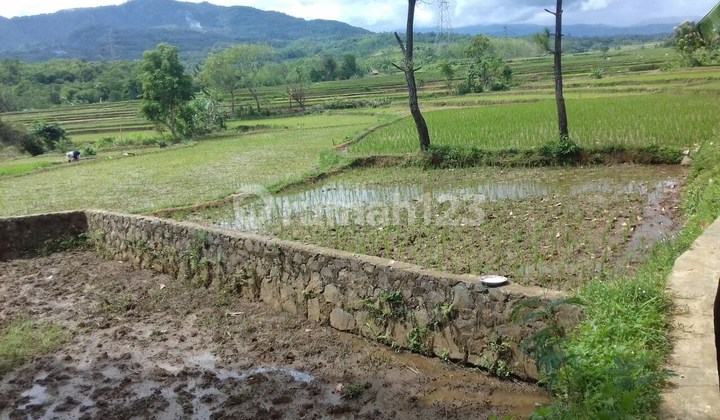 Tanah 7020 m2 SHM Bogor Barat, Bogor Tanah 7020 m2 SHM Bogor Barat, Bogor