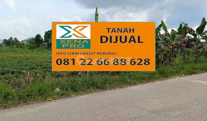 TANAH TEPI JALAN SANGATTA - KUTAI TIMUR 1