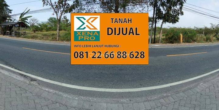 TANAH TEPI JALAN PROVINSI GRESIK JAWA TIMUR 1