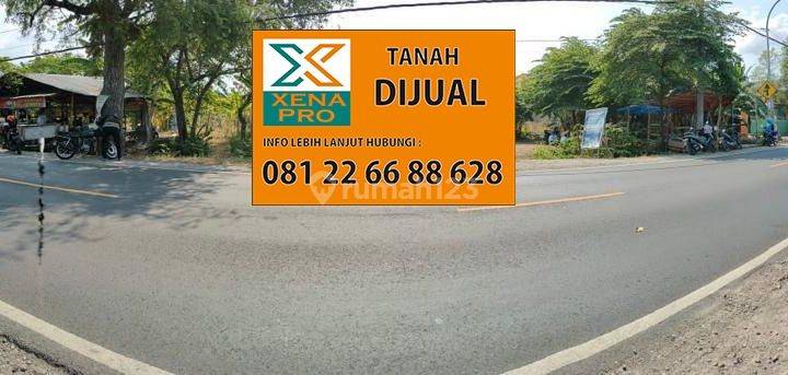 TANAH BAGUS DI TEPI JALAN PROVINSI GRESIK  1