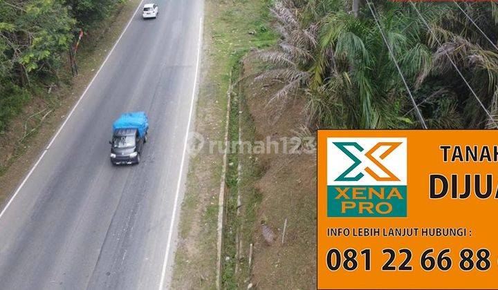 Tanah Strategis Tepi Jalan Poros Kawasan Ikn 1