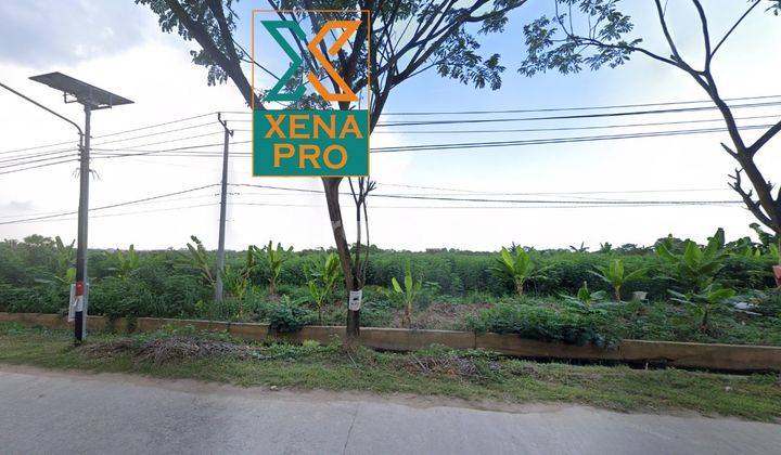TANAH KONTUR RATA DI TEPI JALAN SIAP BANGUN SANGATTA-KUTAI TIMUR 2