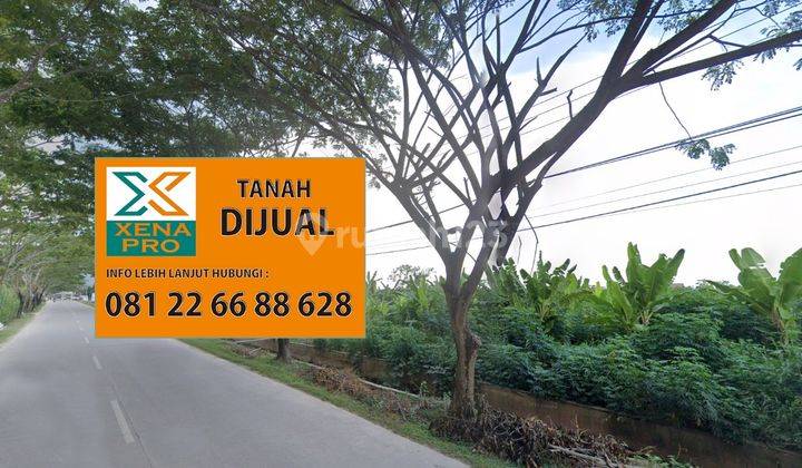 TANAH KONTUR RATA DI TEPI JALAN SIAP BANGUN SANGATTA-KUTAI TIMUR 1