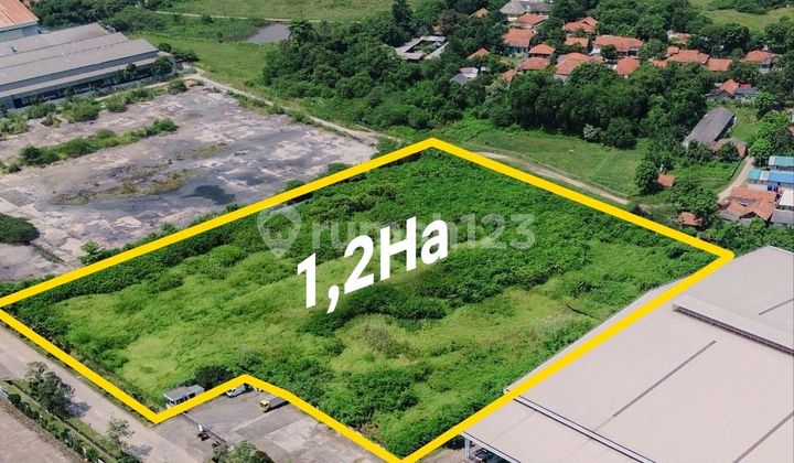 Kav Di Jababeka Lokasi Sangat Baguss Dan Strategis Kav Di Jababeka Lokasi Sangat Baguss Dan Strategis