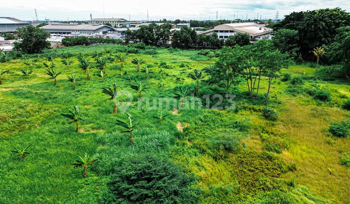Kavling Lokasi Strategis Tanah Padat Di Tambun Bekasi