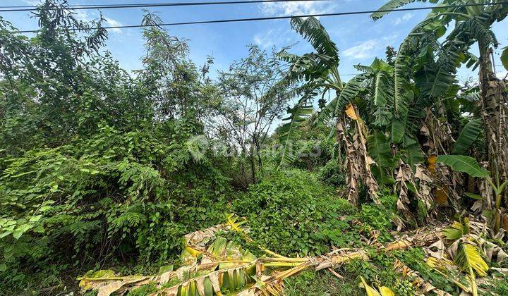 Tanah Nego Sampai Jadi Di Jalan Raya Subang Pagaden  Jabar 2