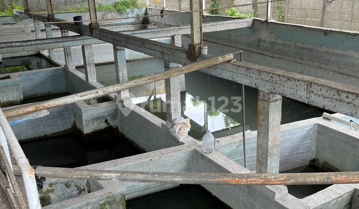 Former Dye Factory Still Has Waste Processing Permit Former Dye Factory Still Has Waste Processing Permit