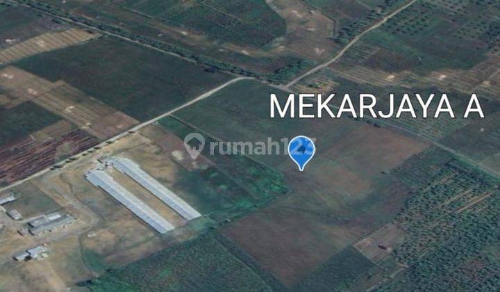 DIJUAL TANAH ZONA INDUSTRI MASUK KONTAINER MAJALENGKA JAWA BARAT 1