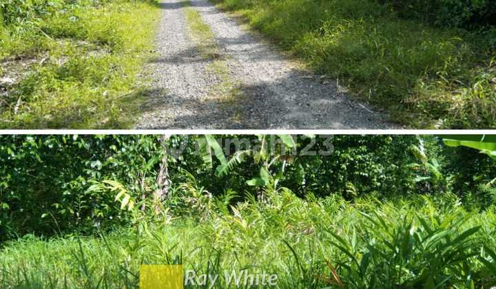 FOR RENT/SALE House by the Road, Front and Back Yard, Spacious 2