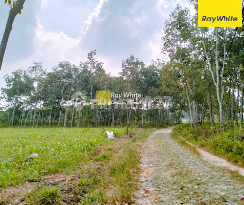 DIJUAL TANAH LOKASI DEKAT KOTABARU ITERA 2