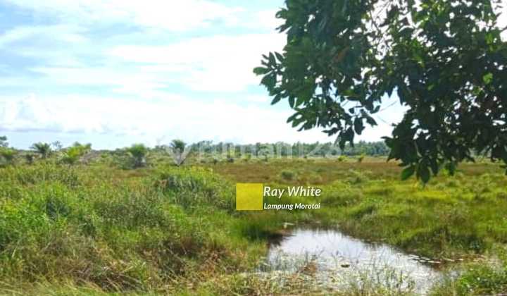 Sale/Rent Rumah Mewah Nuansa Klasik Modern Bonus Kolam Renang 2