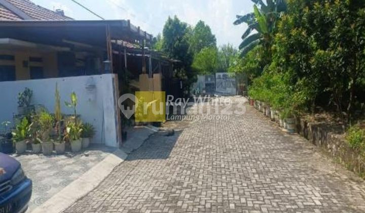 Jual Cepat Rumah Tanjung Karang Timur Harga 275Juta