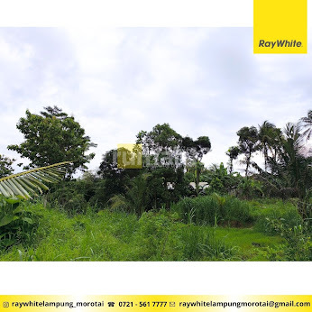 Tanah Murah Natar Luas 3000m2