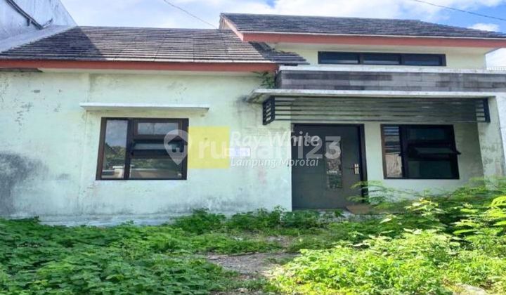 Jual Cepat Murah Rumah di Bali Jual Cepat Murah Rumah di Bali