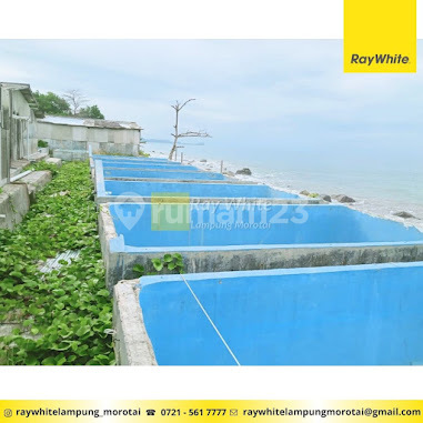 Bonus Land with Building and Former HATCHERY Pond