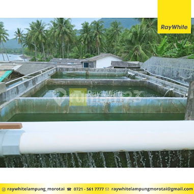 TANAH BONUS Bangunan dan Kolam EX. HATCHERY