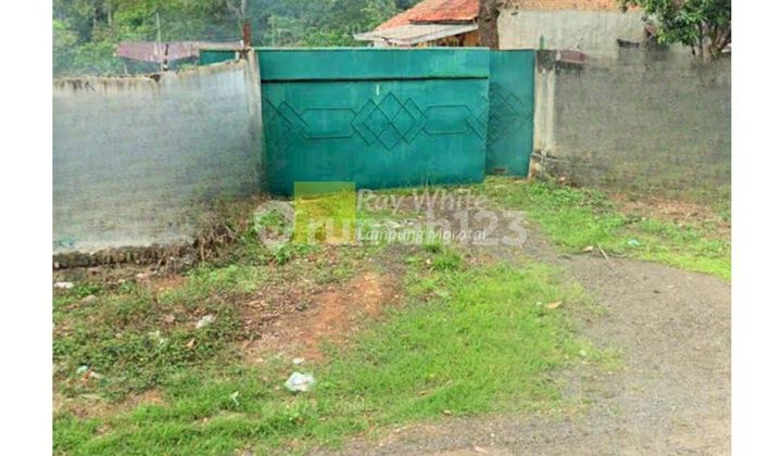 Dijual Tanah Murah Waykanan