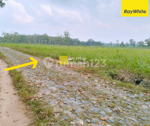 DIJUAL TANAH LOKASI DEKAT KOTABARU ITERA 1