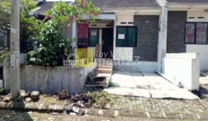 Rumah Murah Area Bogor Rumah Murah Area Bogor