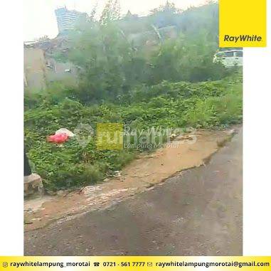 Tanah kavling Kotamadya MURAH 2