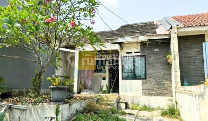 Affordable House Location Bogor Affordable House Location Bogor