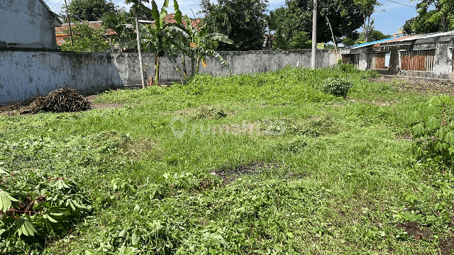 Gudang Hitung Tanah di Paiton Probolinggo 2