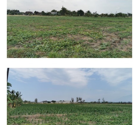 Tanah Area Mojokerto Luas 1700An Strategis