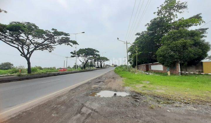 Jual Cepat Tanah Semarang Kendal di Raya Pantura  1