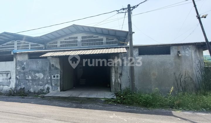 Ready-to-Use Lik Warehouse