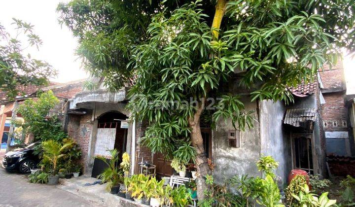 Rumah Asri Lingkungan Sejuk Di Sembung Harjo Semarang Timur 1