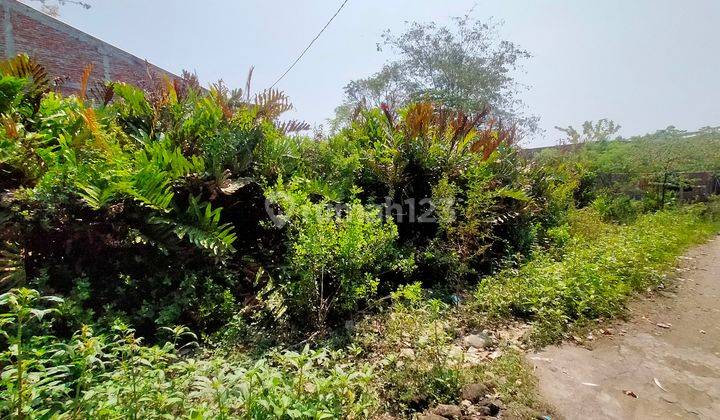 Tanah ngantong di semarang timur 1000 SHM 7