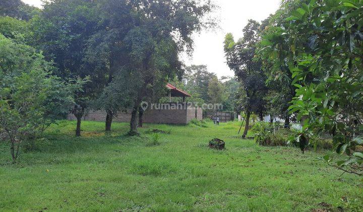 Jual Tanah di Ngaliyan raya 11000 m² SHM 1