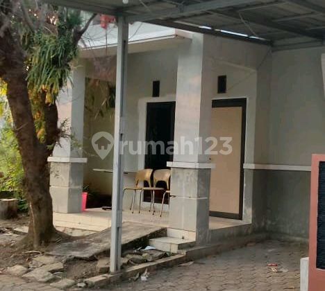 Rumah Minimalis di Tembalang 1