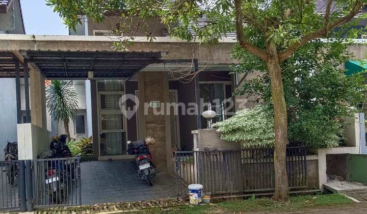 Beautiful House in Jangli 1