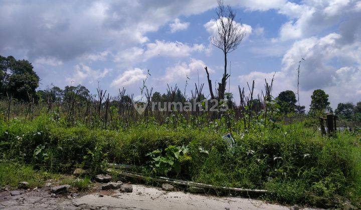 Tanah bagus di bandungan 1