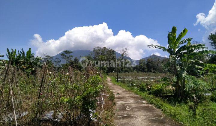 Tanah bagus di bandungan 2