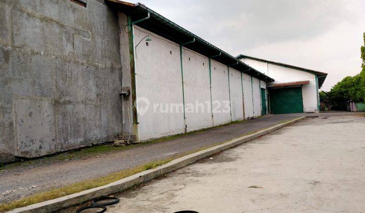 Gudang di Demak  15