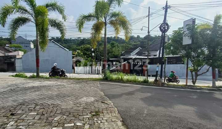 Beautiful House in Jangli 2