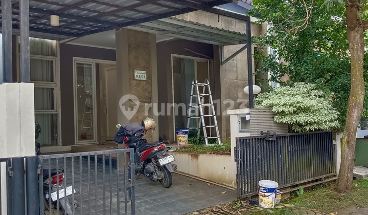 Beautiful House in Jangli 2