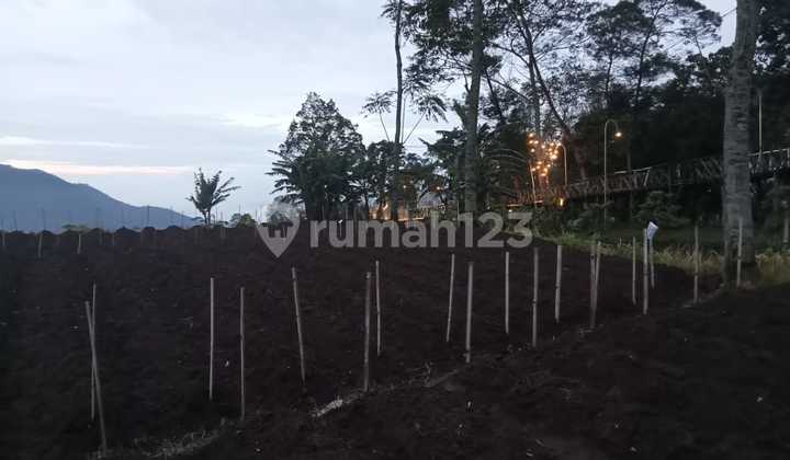 Tanah View Bagus Di Kopeng Tanah View Bagus Di Kopeng