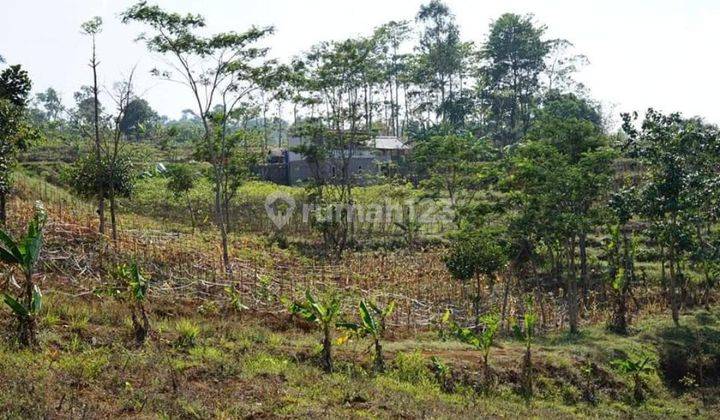 Jual tanah di Bandung wetan, di Jl Manisi, Cibiru atas 7