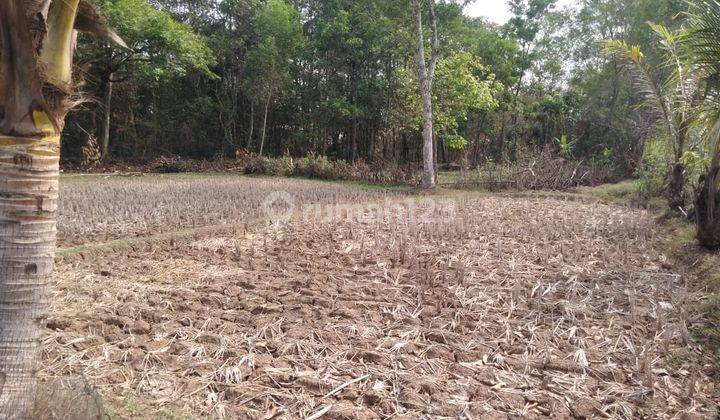 Tanah Kavling Industri Tigaraksa Bagus Siap Bangun Wlmpr 2