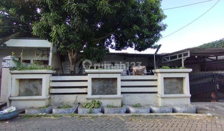 Jual Rumah  Di Tanah Mas Semarang 1