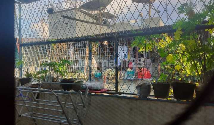 Rumah 5x10 Di Jelambar 3lt Shm.bisa Nego Dekat Kota , Jakarta Barat 2