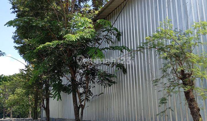 Disewa Gudang Ex Gedung Olah Raga di Jalan Raya daerah Tigaraksa, Tangerang 2