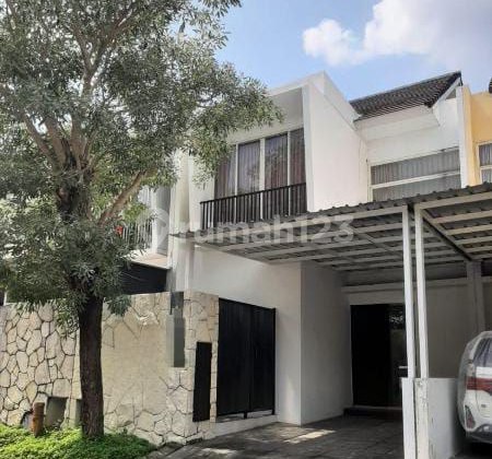 Strategic Minimalist Forest Mansion House