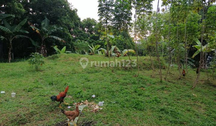 kavling di hegarsari hegarmanah lokasi strategis 1